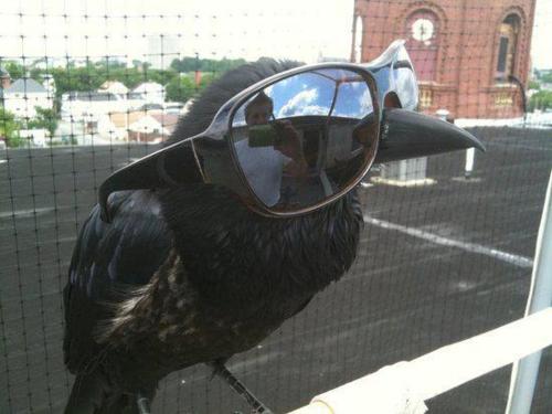 tumblr_m0qa7lRARU1qb8vbeo1_500 tumblr_m0qa7lRARU1qb8vbeo1_500