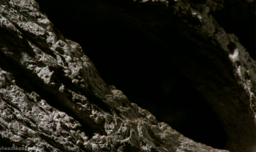 tumblr_m0sfkto6qb1r4zr2vo1_500 tumblr_m0sfkto6qb1r4zr2vo1_500
