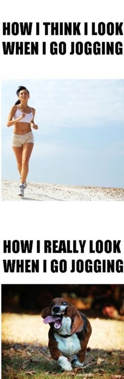 La vérité sur le jogging (ce que j'imagine / ce que je suis vraiment)