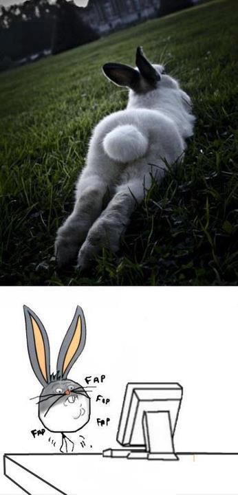 faplapin