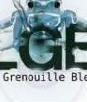 festival-grenouille-bleue-2012-180×124