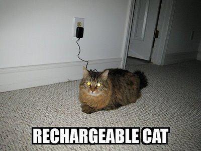 rechargeable