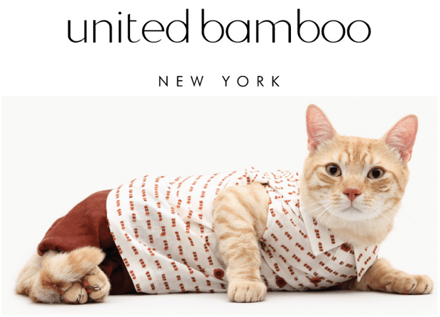 united bamboo chat 1