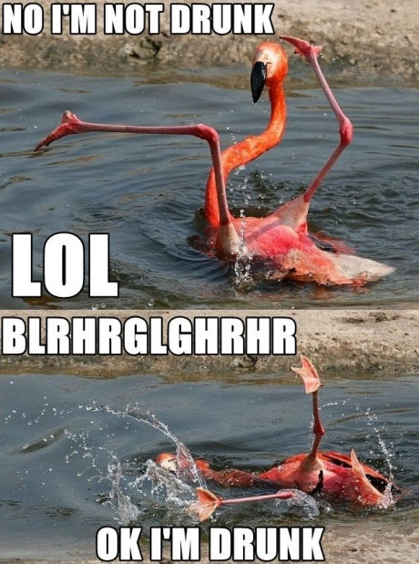 imnotdrunk imnotdrunk