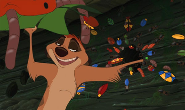 timon2