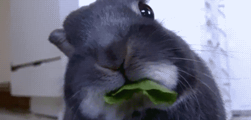 tumblr_m327j1Allc1qbhtrto1_500 tumblr_m327j1Allc1qbhtrto1_500