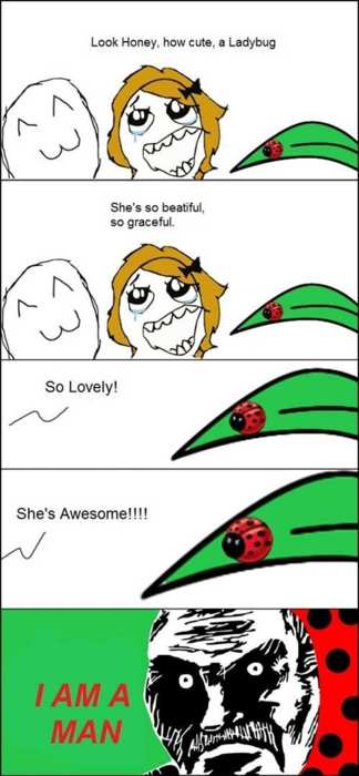 180612-17 Oh regarde chéri une coccinelle. Elle est si jolie, si gracieuse... "Je suis un mâle".