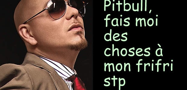 pitbullbg pitbullbg