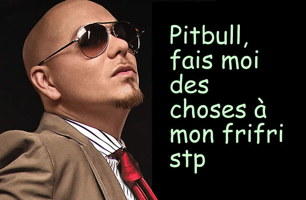 pitbullbg