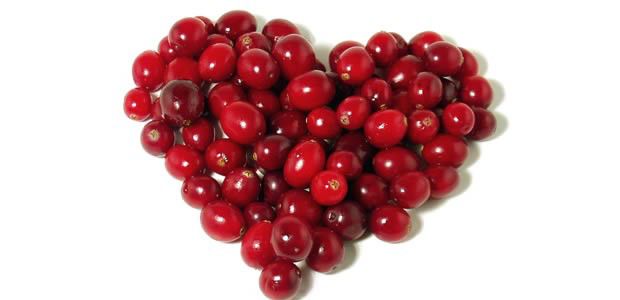 cranberry cranberry