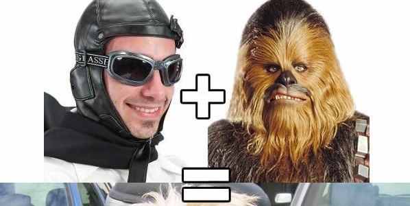 casque-lunettes-scooter-chien-post casque-lunettes-scooter-chien-post