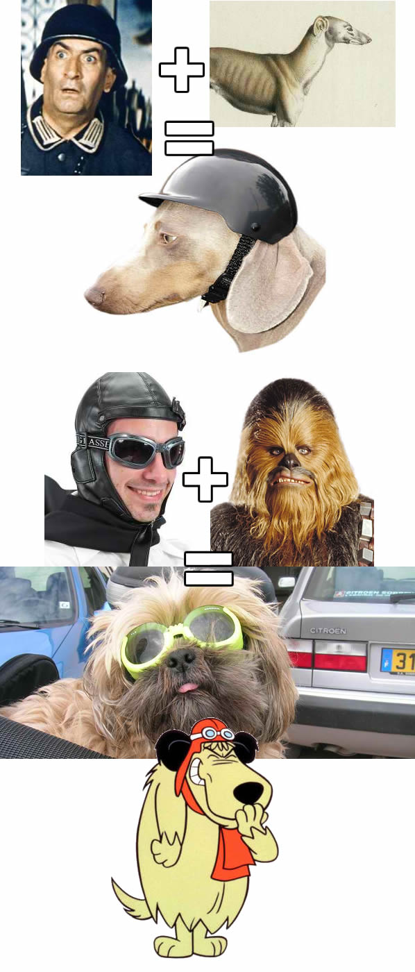 casque-lunettes-scooter-chien-post