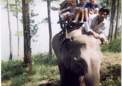 Assise sur cet éléphant au Vietnam, je n'avais qu'une pensée en tête : MAIS QUEL GOÛT ÇA A, UN ÉLÉPHANT ? Est-ce que ça fait de moi un monstre ?