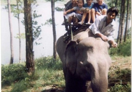 n562282494_514438_336 Assise sur cet éléphant au Vietnam, je n'avais qu'une pensée en tête : MAIS QUEL GOÛT ÇA A, UN ÉLÉPHANT ? Est-ce que ça fait de moi un monstre ?