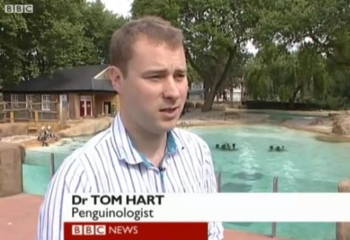 Dr. Tom Hart - Pengouinologiste.