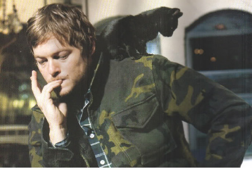 norman et le chat