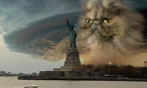 catstorm catstorm