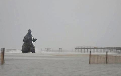 gogogodzilla gogogodzilla