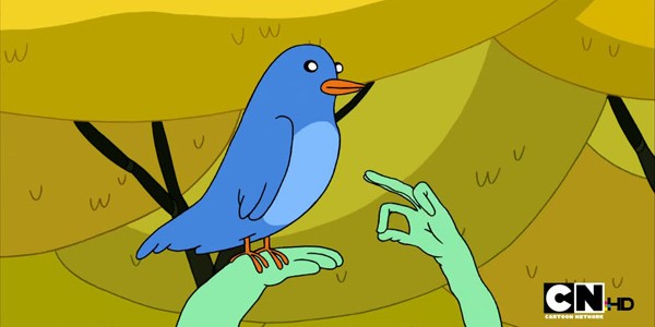 bird bird