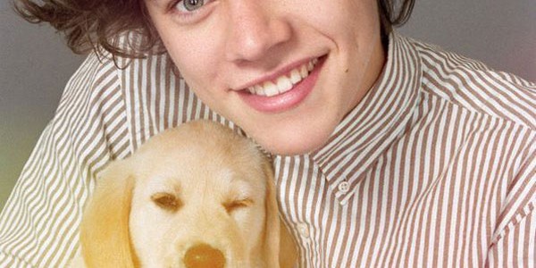 harry harry