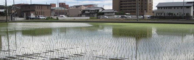 japon1 japon1