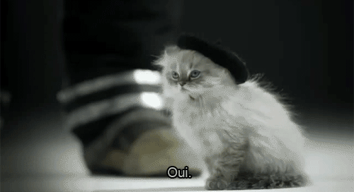 oui oui