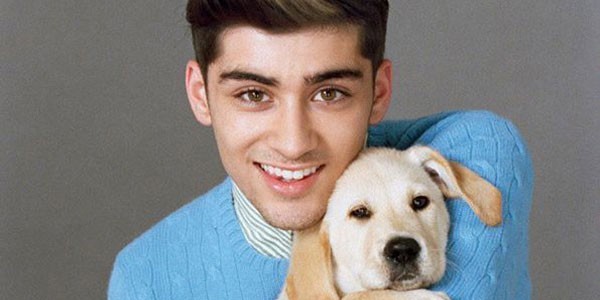 zayn zayn
