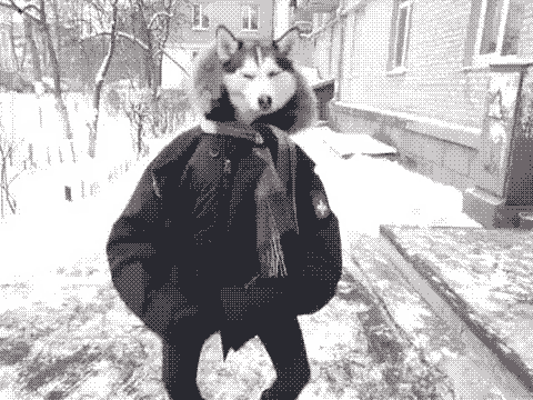 tumblr_ls7cx4TtEs1r3hk8ko1_500 tumblr_ls7cx4TtEs1r3hk8ko1_500