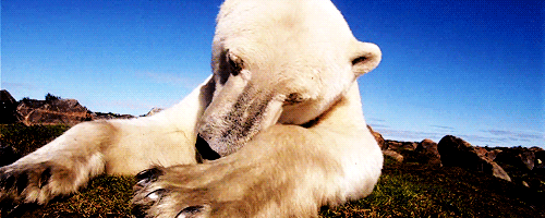tumblr_mevqzj5F051rgr4l6o2_500 tumblr_mevqzj5F051rgr4l6o2_500
