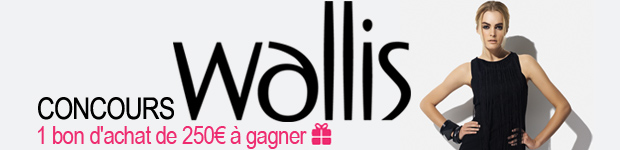 Home-Concours-Wallis