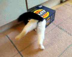 VUnBK VUnBK