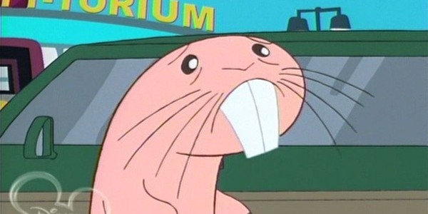 rufus rufus