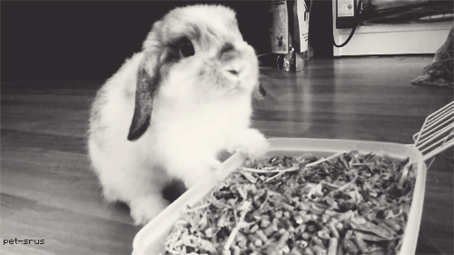 tumblr_mdll1sYF5m1rl3429o1_500 tumblr_mdll1sYF5m1rl3429o1_500