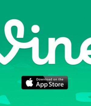 vine-vinepeek-app
