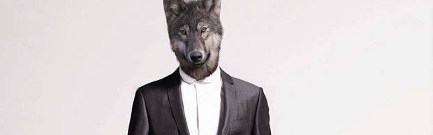 wolf-boss