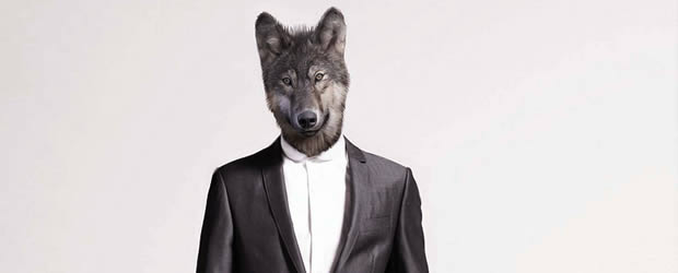 wolf-boss