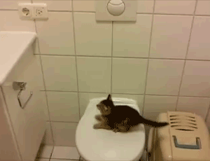 8vCpFuH 8vCpFuH
