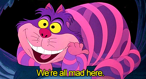 chat alice chat alice