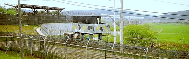 dmz dmz