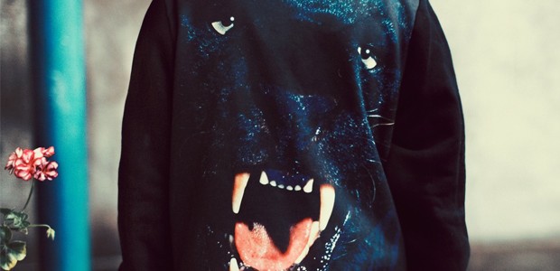 panther panther