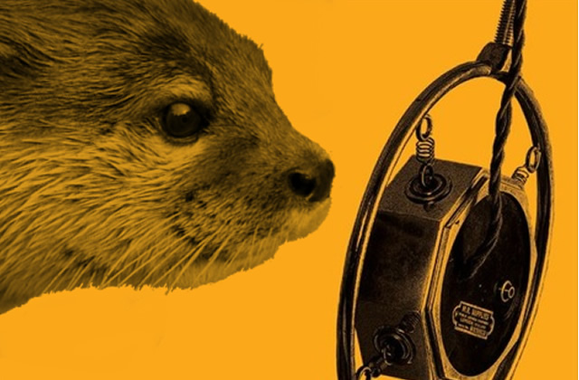 cineloutre-tumblr-cinema-loutre