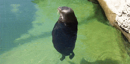YSPbgGb YSPbgGb