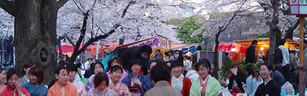 hanami1 hanami1
