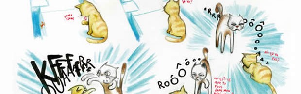 chat chat