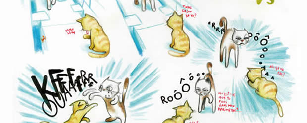 chat chat