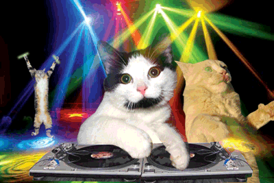 chats chats