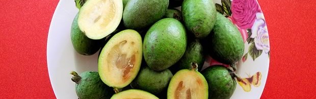 feijoas feijoas