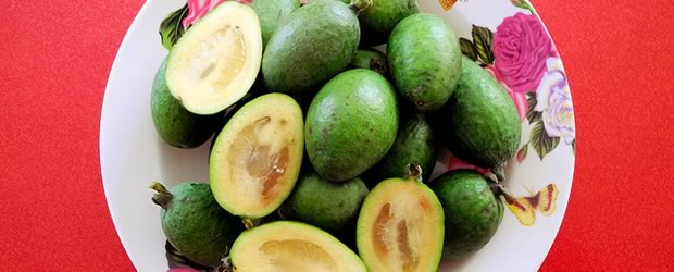 feijoas