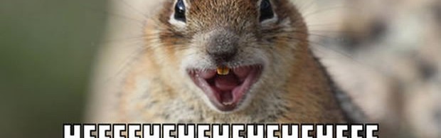 heheheh heheheh
