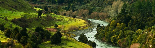 new-zealand new-zealand